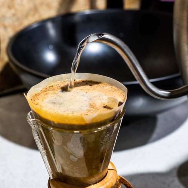 Coffee Conversations Honeybird coffee