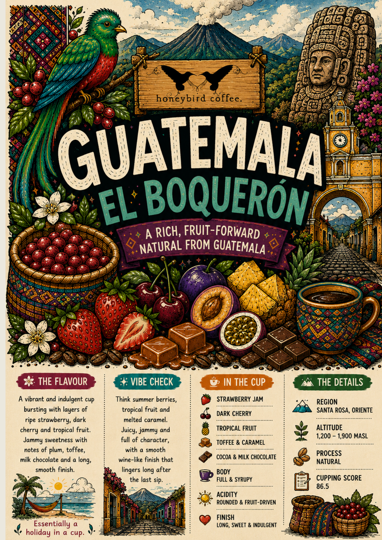 SINGLE ORIGIN: GUATEMALA EL BOQUERON